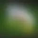 Zagraj Let It Ride z Playtech w {"id":34,"name":"ggbet","design":{"logo":"ggbet-logo.x0Y4Cx.svg","favicon":"ggbet-favicon.UW2sFy.png","banner_poker":"ggbet-poker-qrAVVl.webp","banner_mobile":"ggbet-mobile-11HmZQ.webp","block_bg_color":"#262626","image_bg_color":"#333","banner_bg_color":"#262626","block_text_color":"#ffffff","primary_bg_color":"#1C1C1C","banner_text_color":"#fff","footer_logos_type":"white","block_round_radius":"0.125rem","primary_text_color":"#ffffff","button_round_radius":"0","banner_welcome_bonus":"ggbet-welcome-bonus-ZM0Epn.webp","primary_button_bg_color":"#f8fafc","primary_button_text_color":"#09090b","secondary_button_bg_color":"#FF6633","secondary_button_text_color":"#fff"},"created_at":"2025-05-14T09:25:22.000000Z","updated_at":"2025-05-14T09:25:22.000000Z","deleted_at":null}